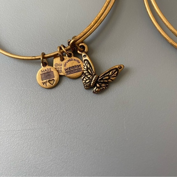 Alex and Ani | Women's Bundle of Two Charm Bracelets Butterfly Skeleton Key - Picture 3 of 6